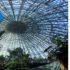 Sortie : ZooParc de Beauval