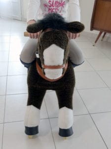 Cheval à monter qui trotte ponycycle