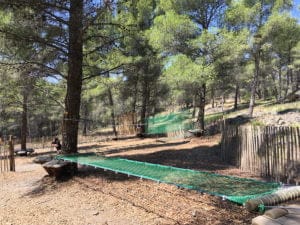 Ecozonia accrobranche