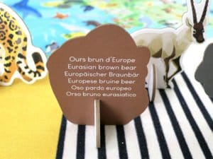 Puzzle éducatif 350 pièces les espèces prioritaires WWF