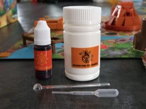 Le temple de feu Dujardin avis