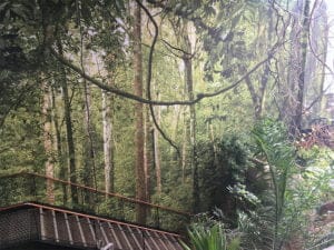 Oniria Aquarium Canet en Roussillon