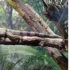 Sortie : Aquarium Oniria (Canet-en-Roussillon)