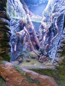 Tarif aquarium canet