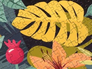 Test Puzzle Panthère Mystique 500 pièces Janod