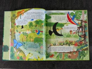 Livre écologie jeunesse Usborne