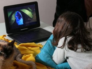 Lecteur DVD portable batterie longue durée Yoton