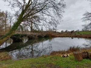 Week-end insolite en amoureux domaine de vadancourt