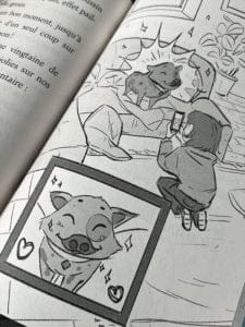 Collection livre Bienvenue chez les Bouledepoils