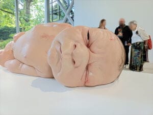 Exposition Ron Mueck avis