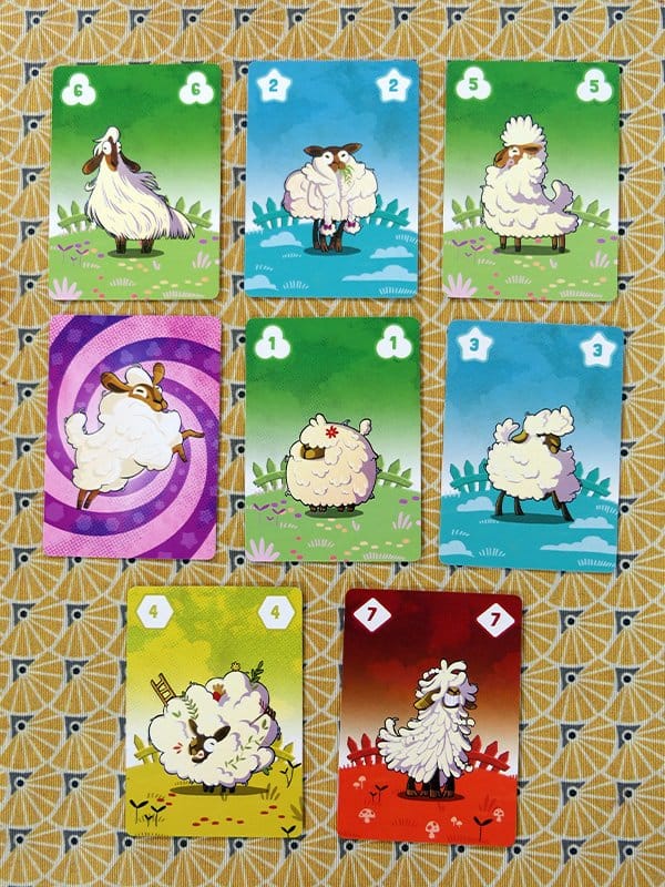 Jeu de société enfant 8 ans Wool Gang