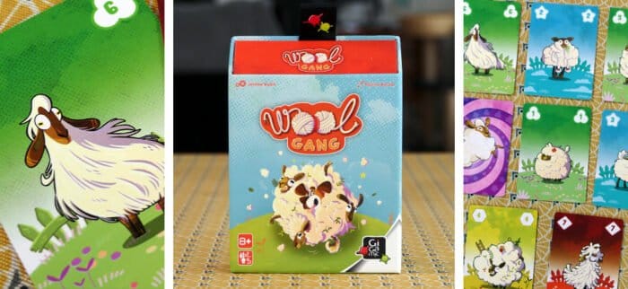 Wool Gang jeu avis