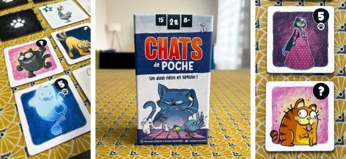 Chats de poche