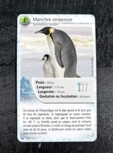 Escape game défi nature