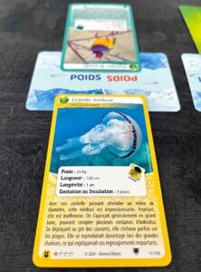 Cartes Défis Nature Protect forces de la nature