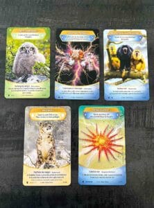 Cartes brillantes Défis Nature Protect