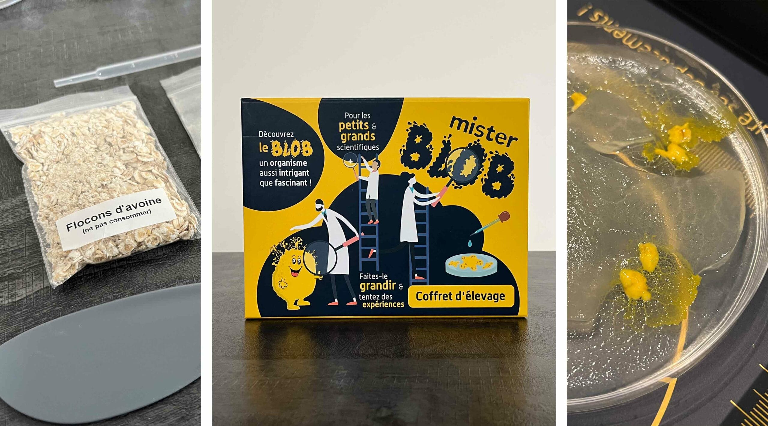 Coffret Mister Blob avis