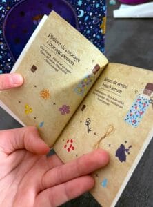 Magic School Harry Potter Janod