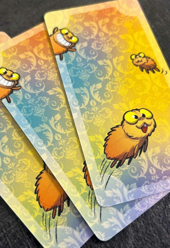 Chakapuces jeu de société