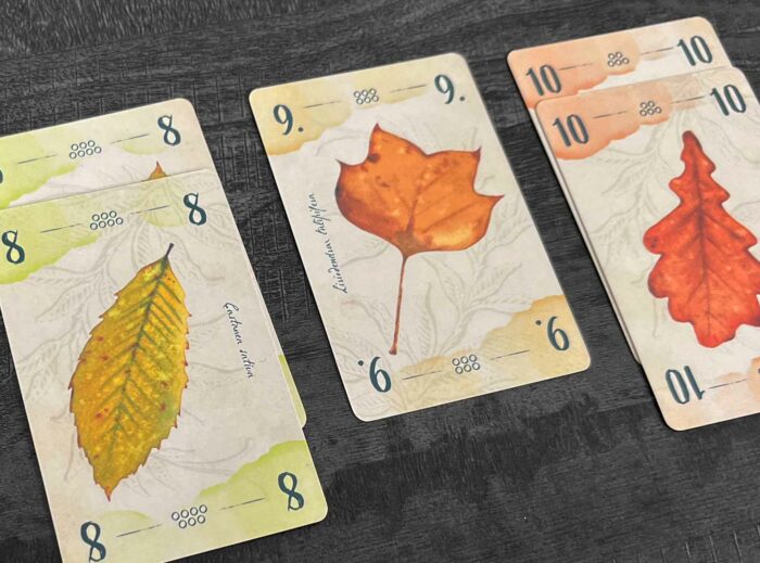 13 feuilles Jeu de cartes