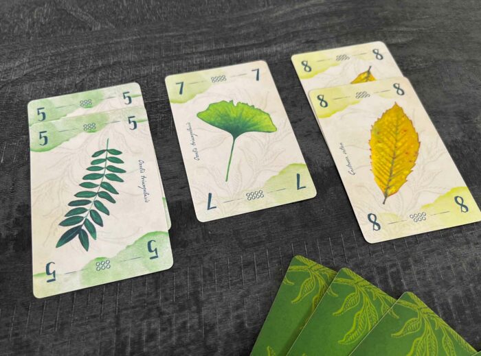 13 feuilles jeu