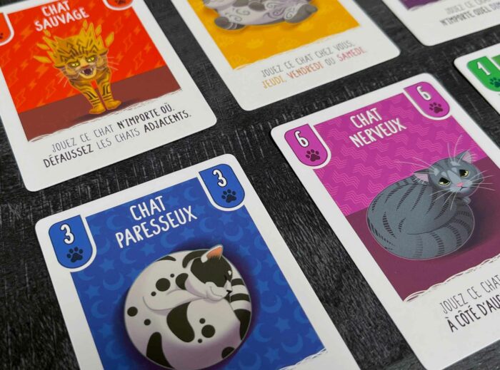 Cat Days jeu