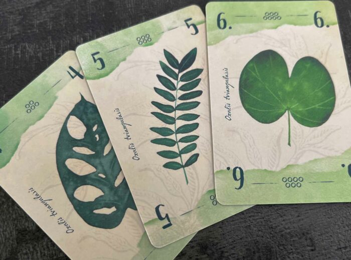 Jeu 13 feuilles