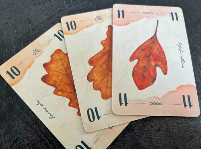 Jeu de société 13 feuilles
