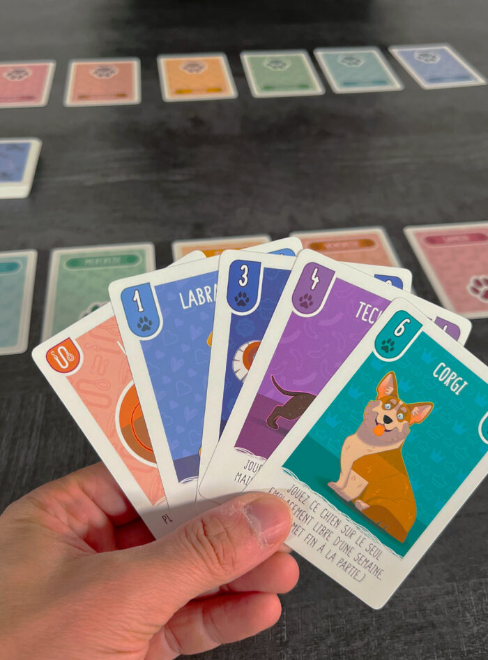 Jeu de société Woof Days