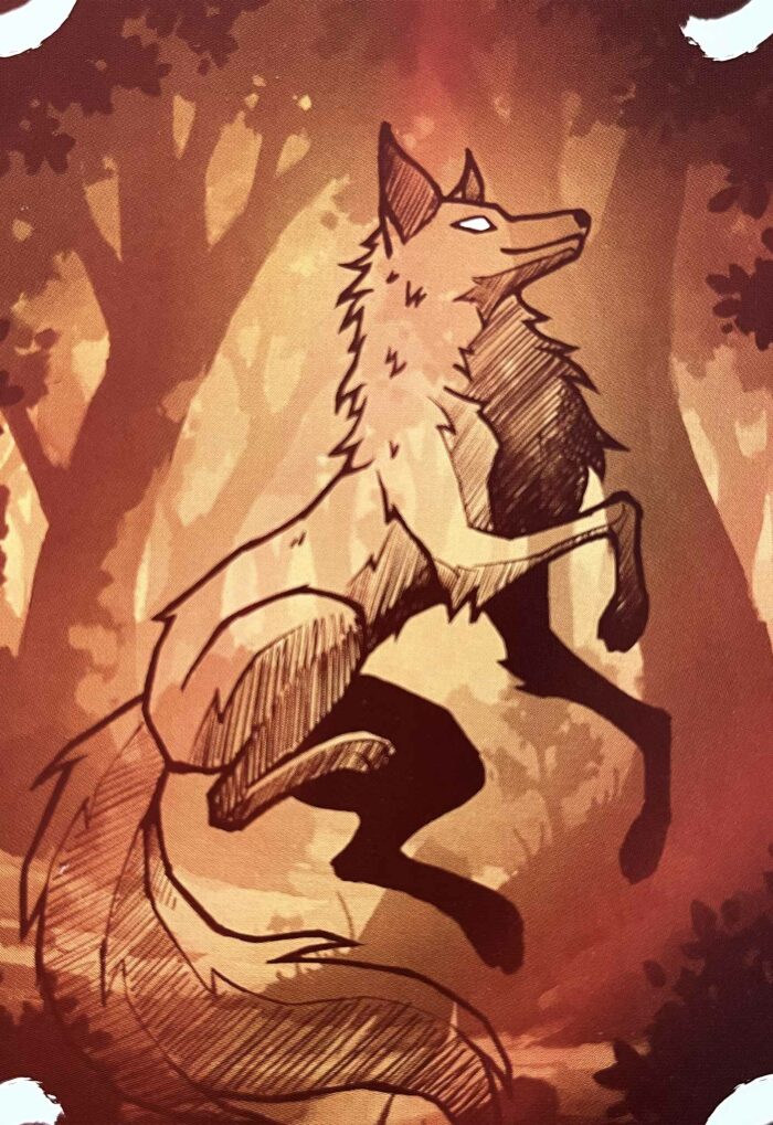 Amarok jeu de société